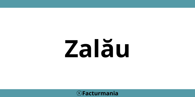 Contact telefon deranjamente Enel (PPC) în Zalău